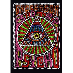 PSYCHO PROFESSOR BAD TRIP FUMETTO ERIS EDIZIONI EDIZIONE ITALIANA